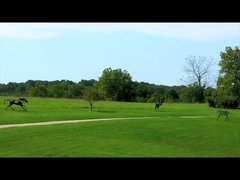 tác phẩm điêu khắc bằng đồng